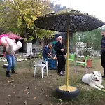 Zirkon Doga Butik Otel